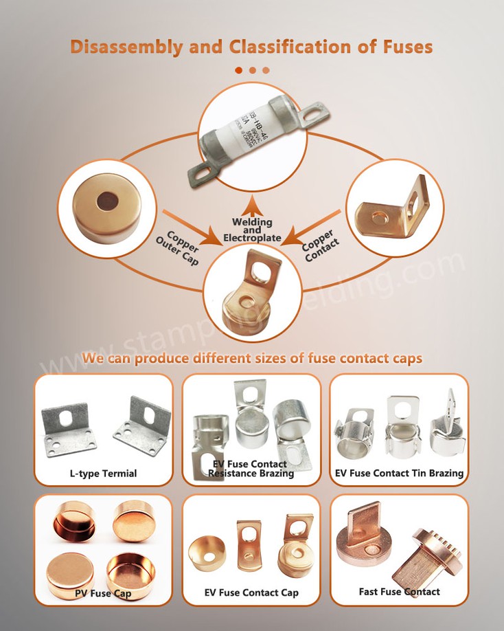 Disassembly and Classification of Fuses Disassembly and Classification of Fuses