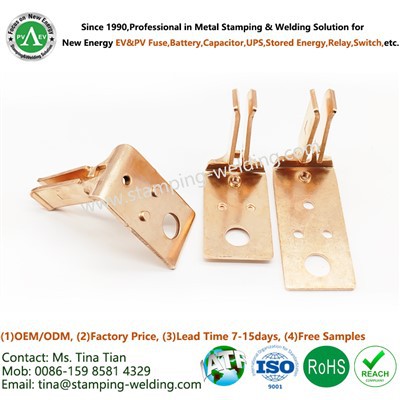 Bunanna Fiús Do Chineál Scian